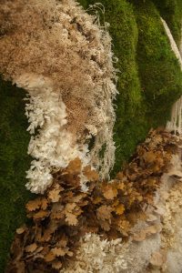 Jardin-vertical-preservado-mosswall