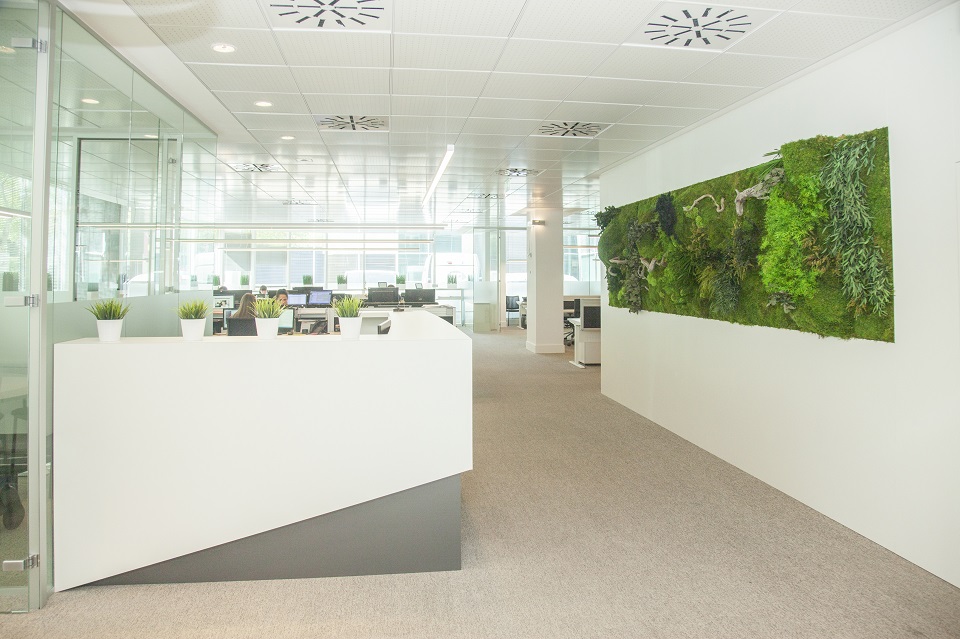 Greenarea contract jardín vertical oficina green workplace