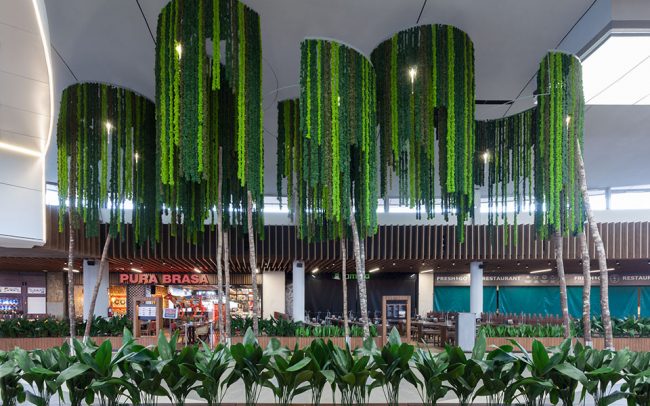 plantas-sin-mantenimiento-decoracion-espacios-retail-lianas-greenarea