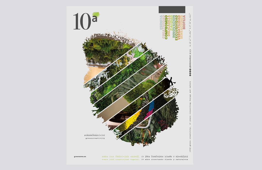 Greenarea cumple 10 años conectando naturalza y diseño para proyectos únicos