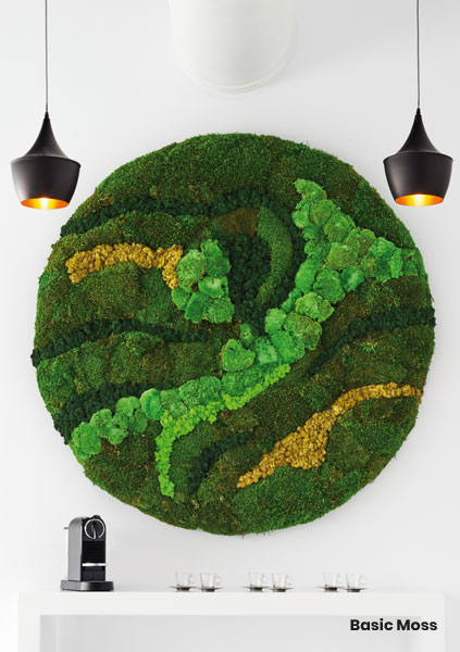 basic-moss-4-1