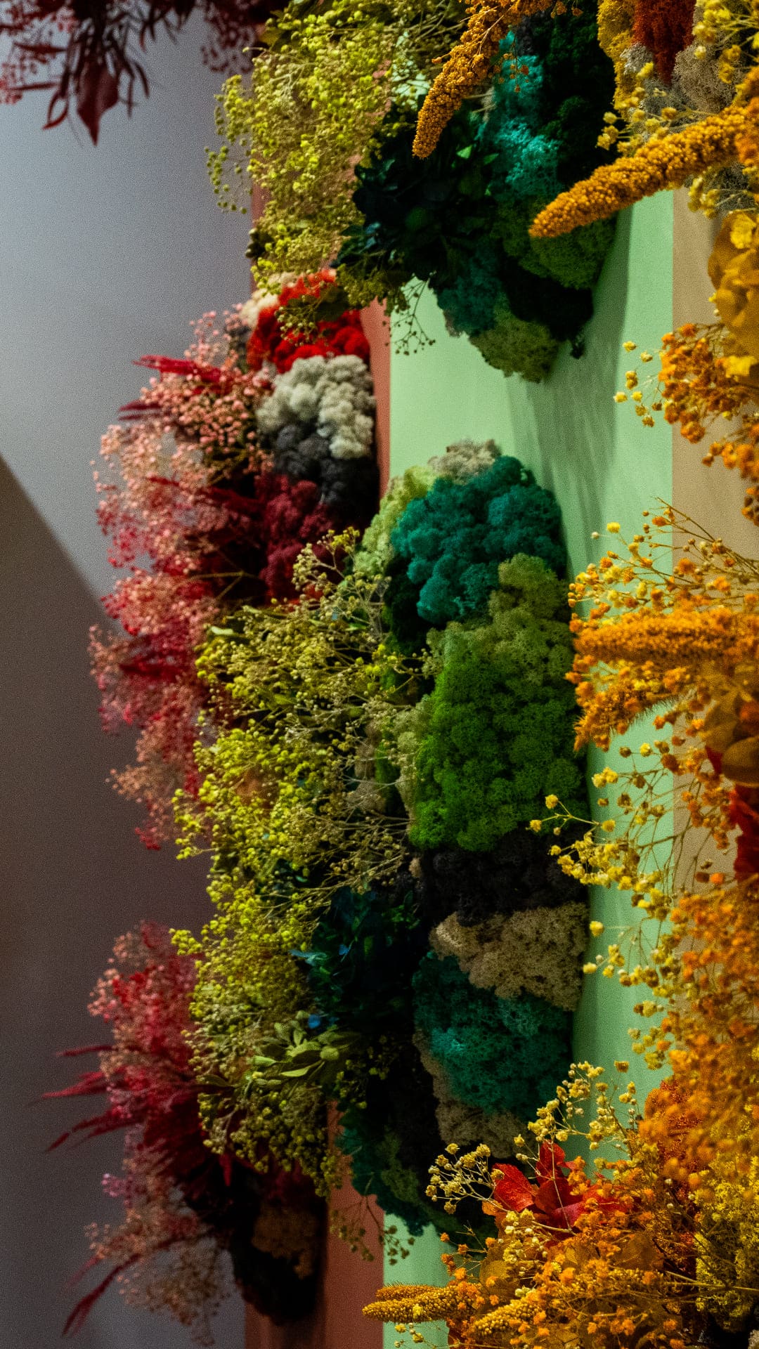 liquen colores creativos jardines verticales decoración biofílica
