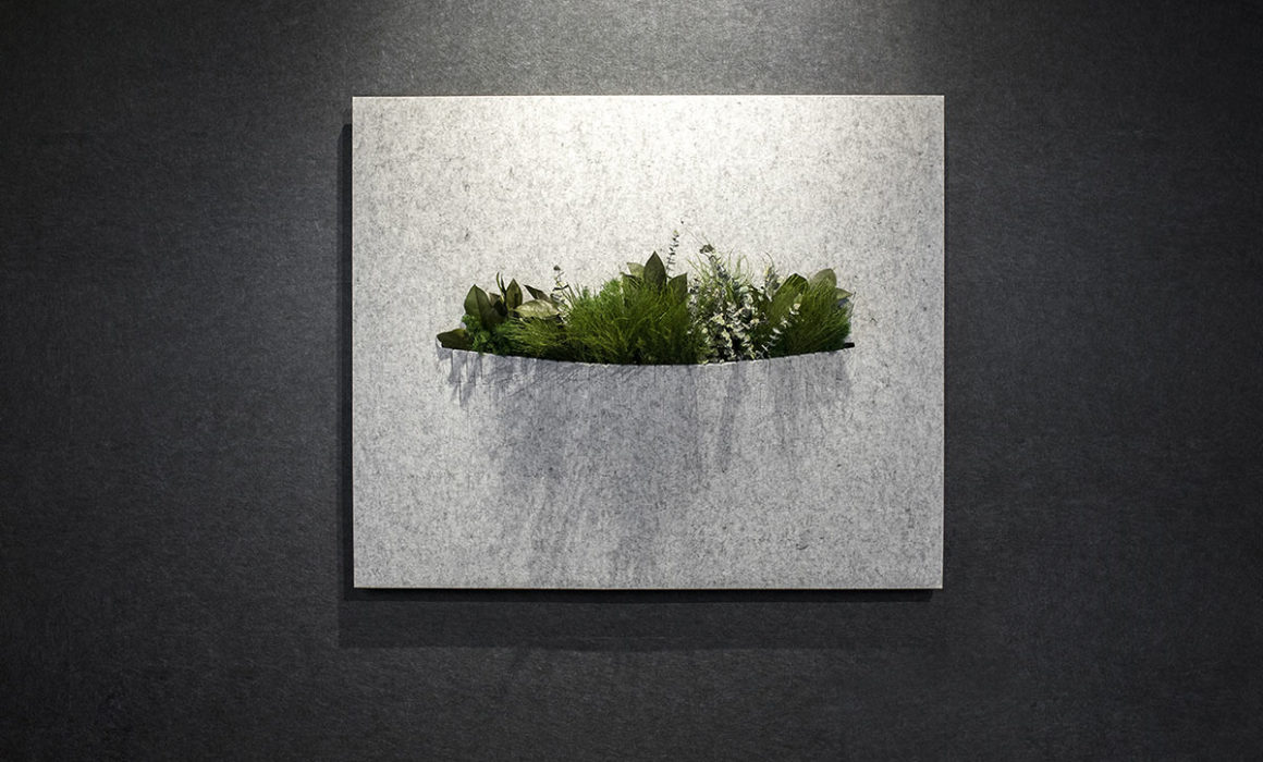 Acoustic panels with preserved plants for office