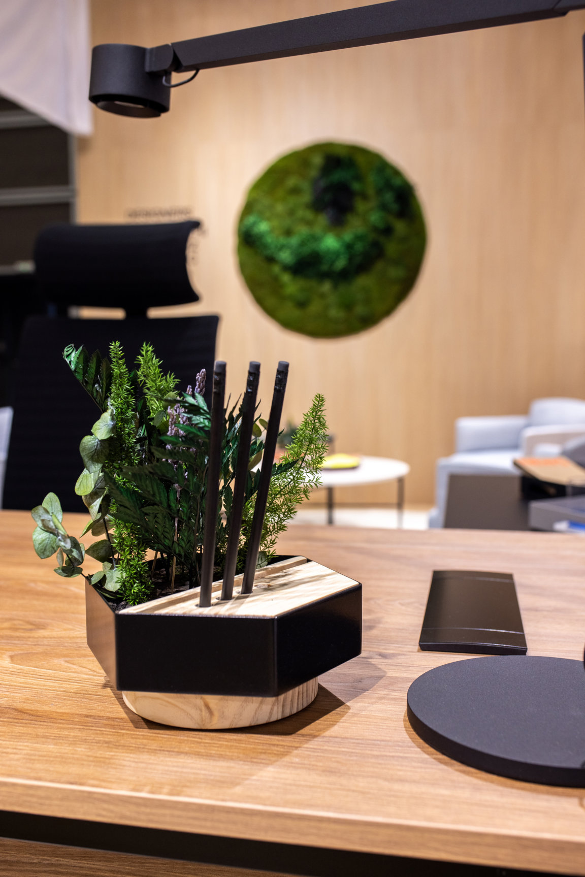 Organizador de escritorio diseño Yonoh Office Desk Set plantas preservadas