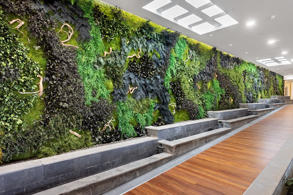 Creation of preserved vertical gardens in hotel