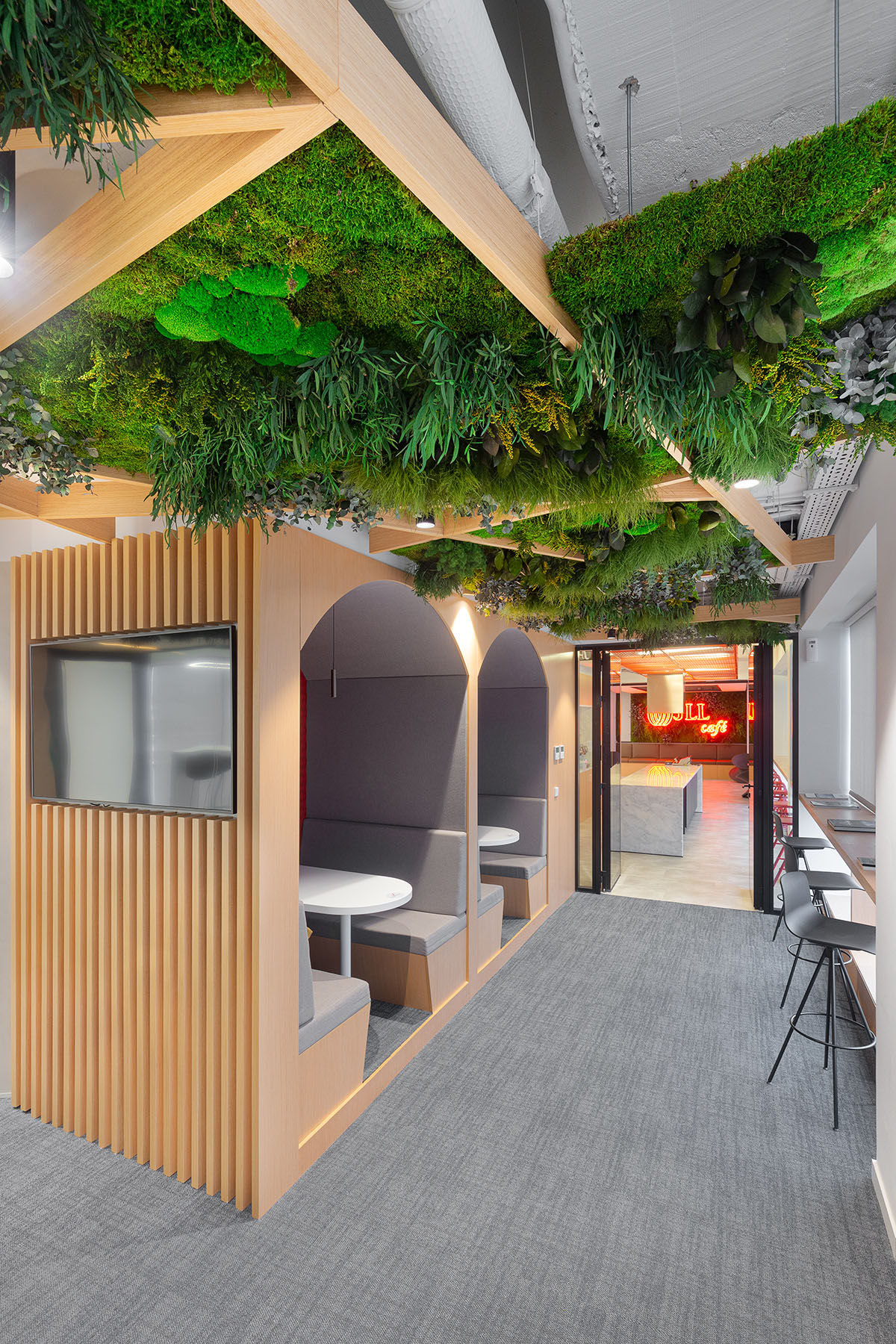 Techo verde con plantas preservadas interiorismo oficinas