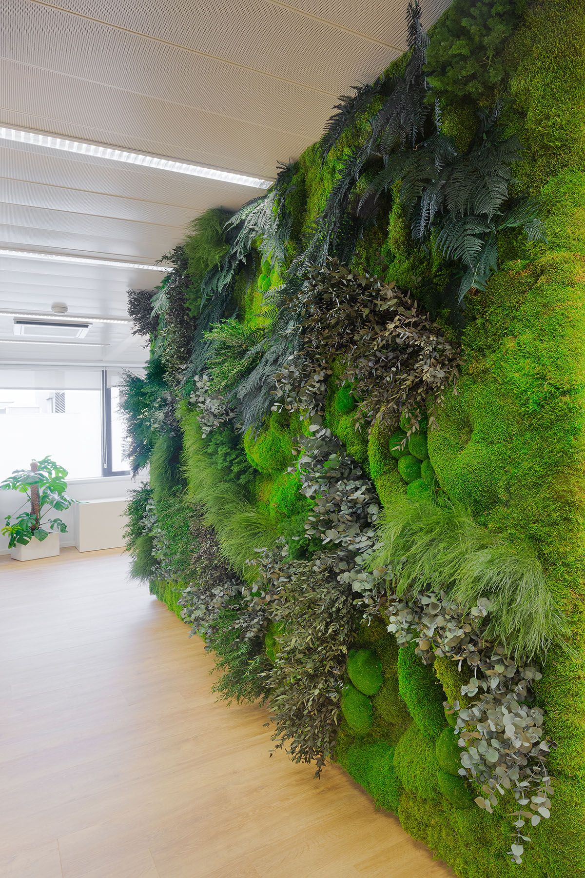 muro vegetal preservado en oficinas
