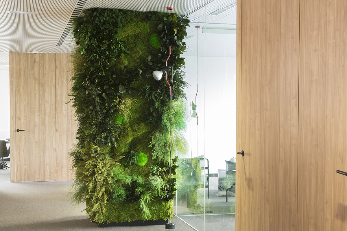 revestimiento columna con jardín vertical interior en oficina
