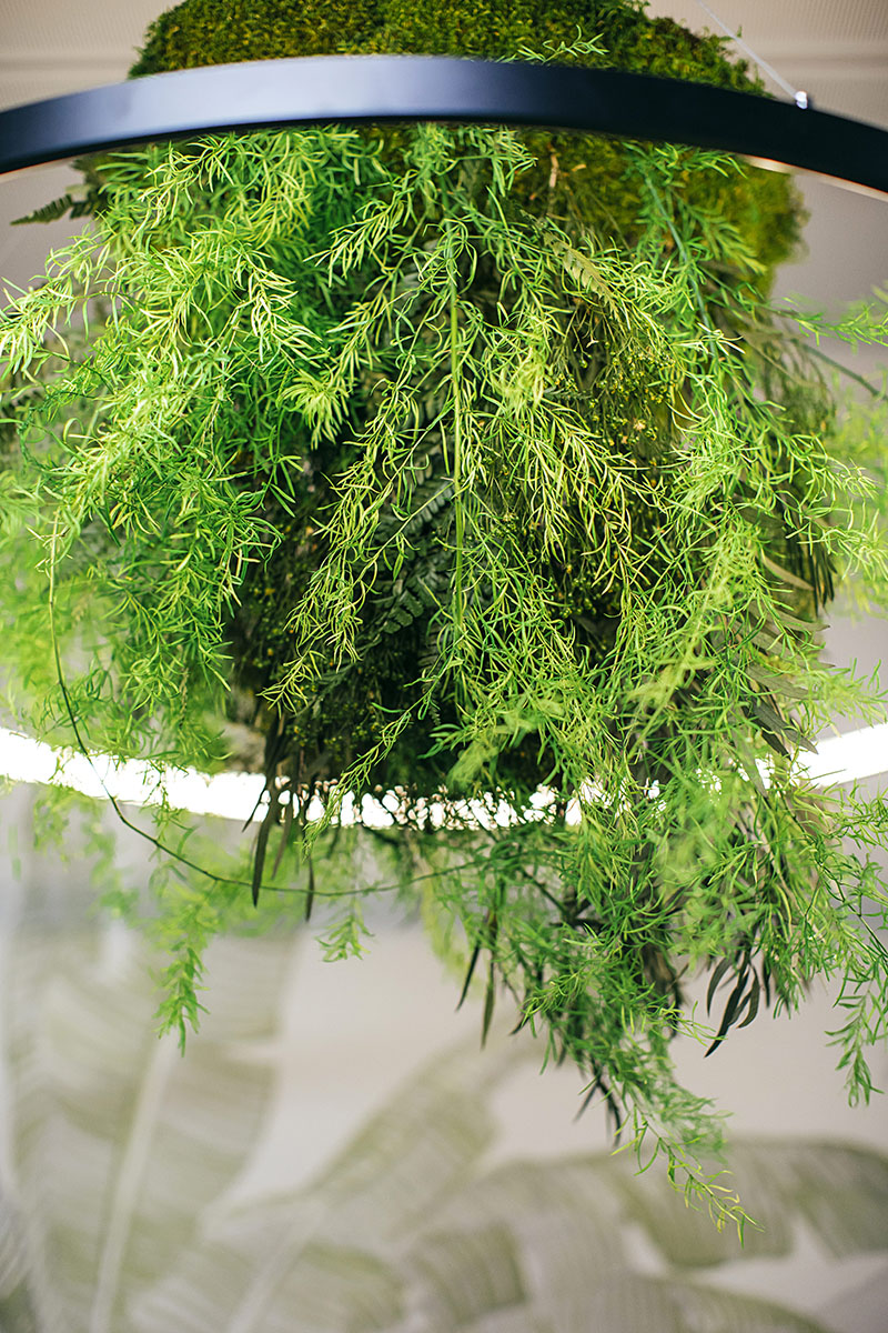 Biophilic lamps with moss and preserved plants
