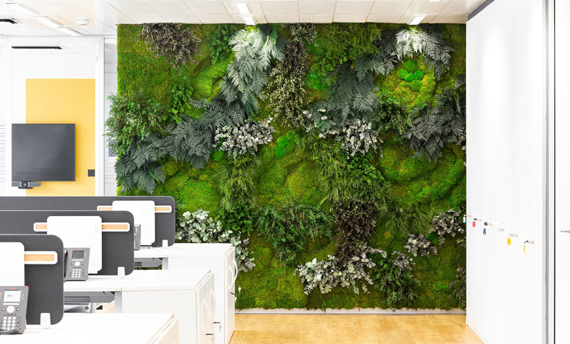 muro vegetal en oficinas