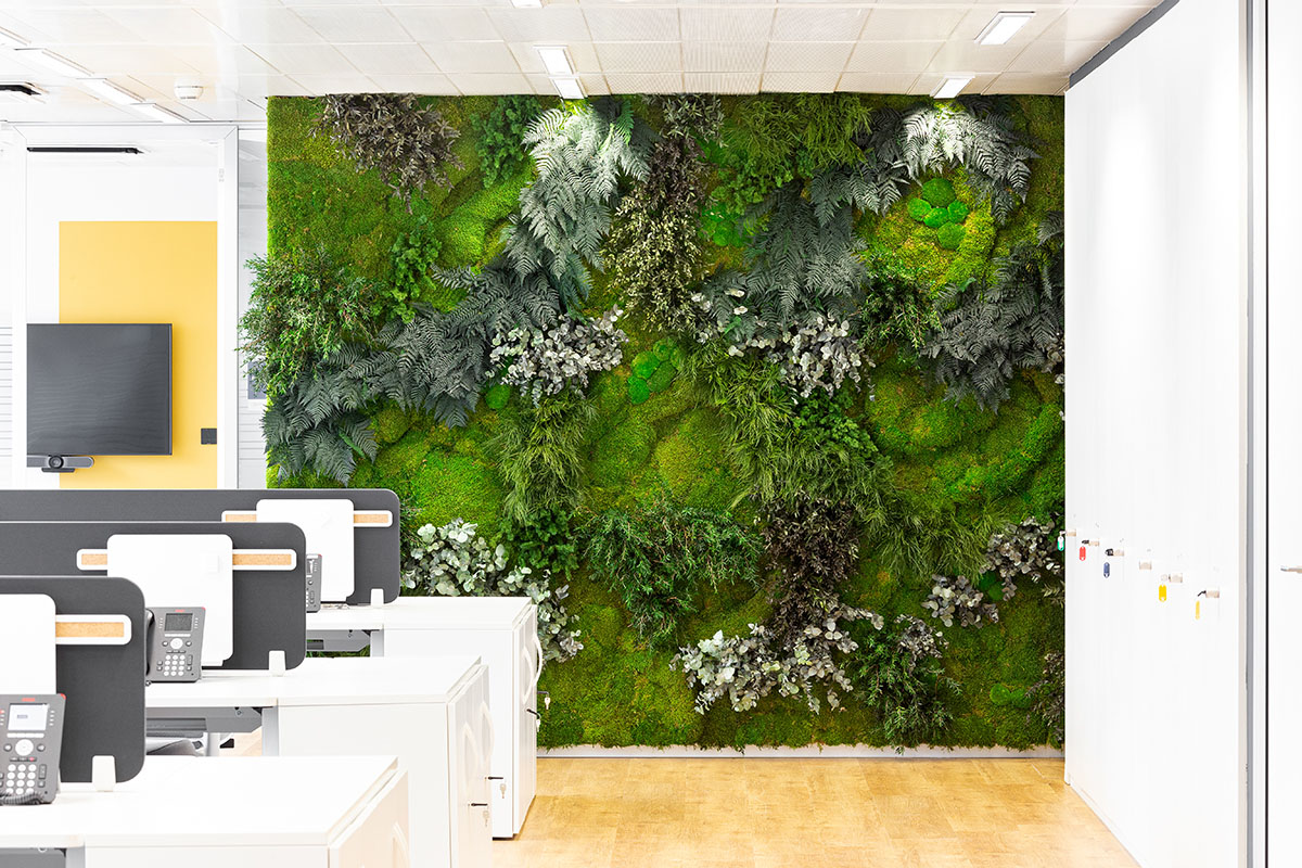 muro vegetal en oficinas
