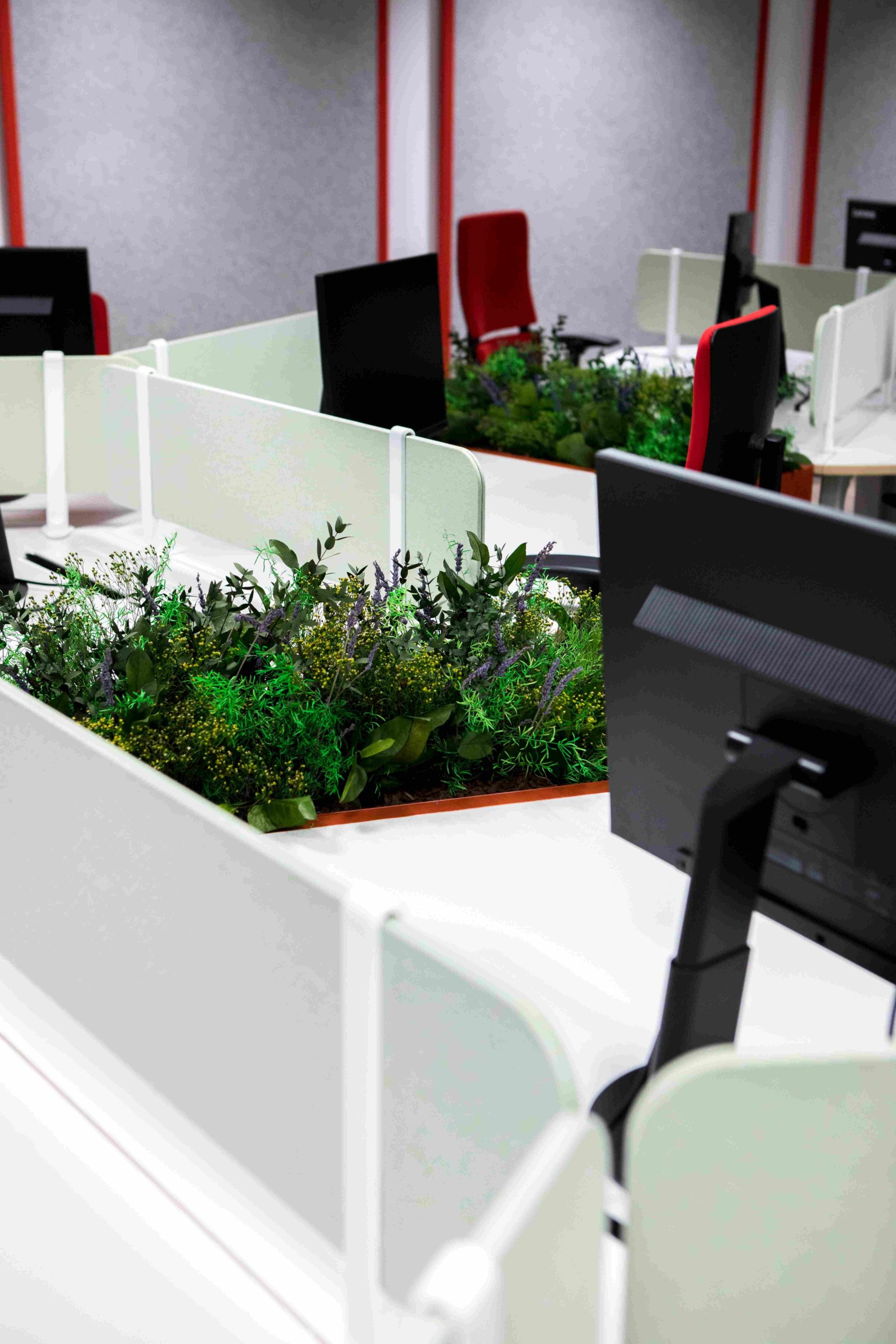preserved planters in biophilic offices