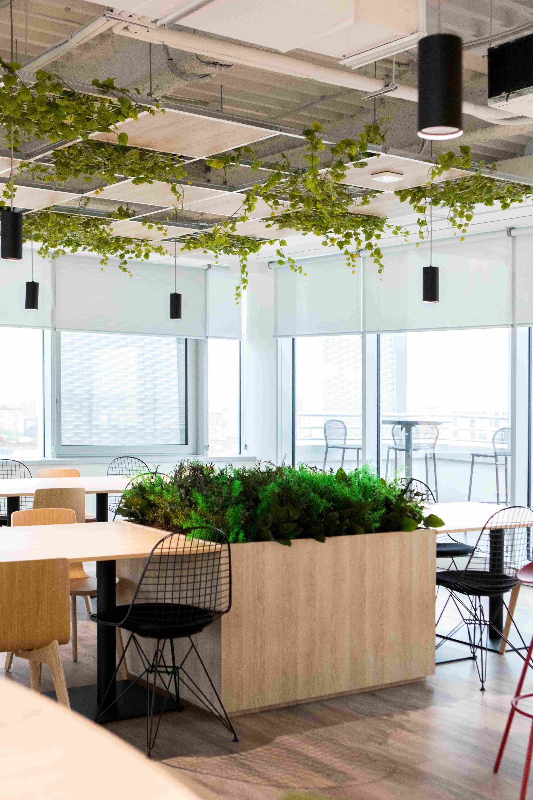 jardineras con plantas preservadas en oficinas diseño biofílico