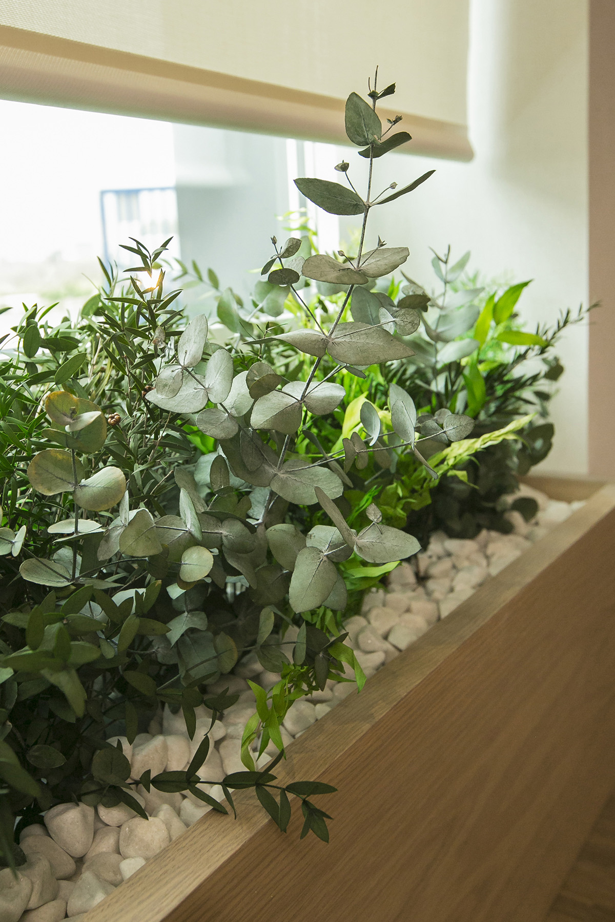 custom planters for biophilic offices