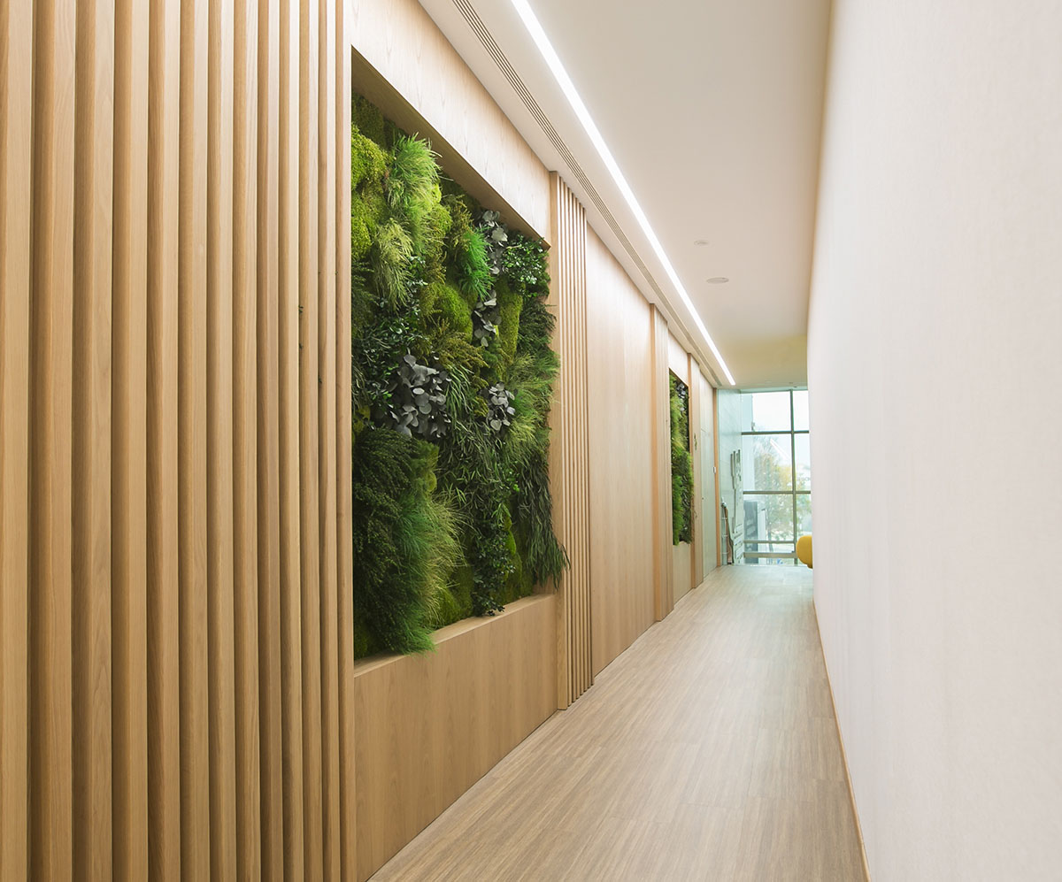 design of biophilic offices with preserved vertical gardens