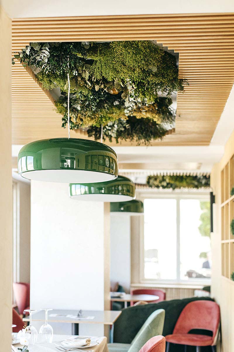 techo vegetal con plantas preservadas