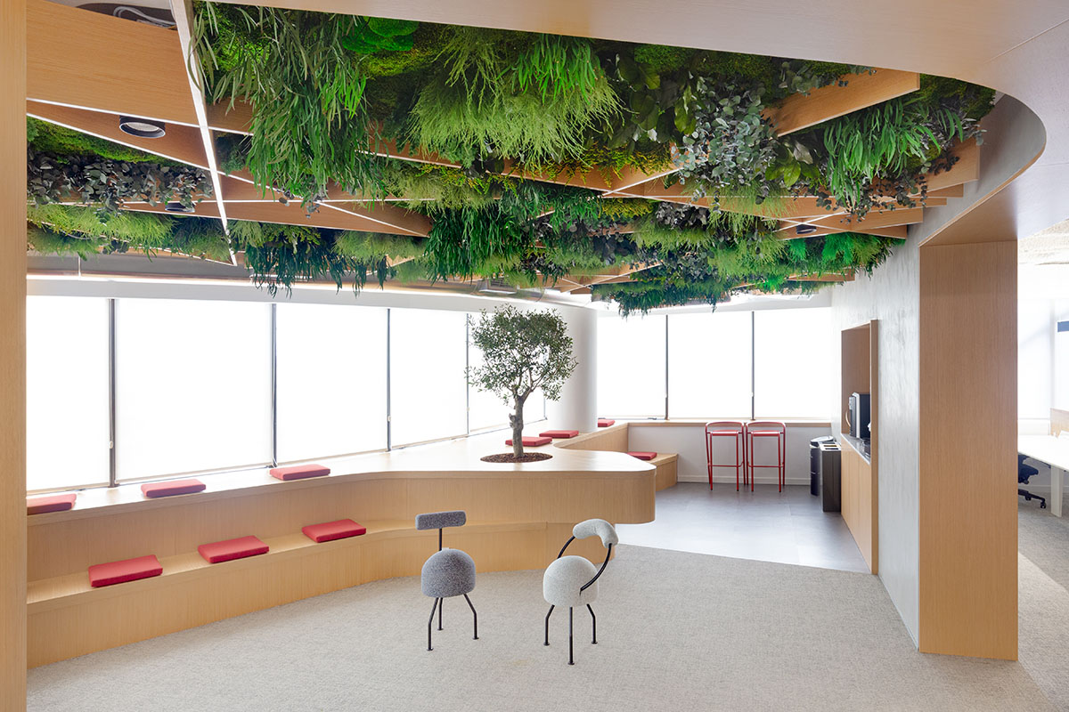 Green ceiling design for biophilic design