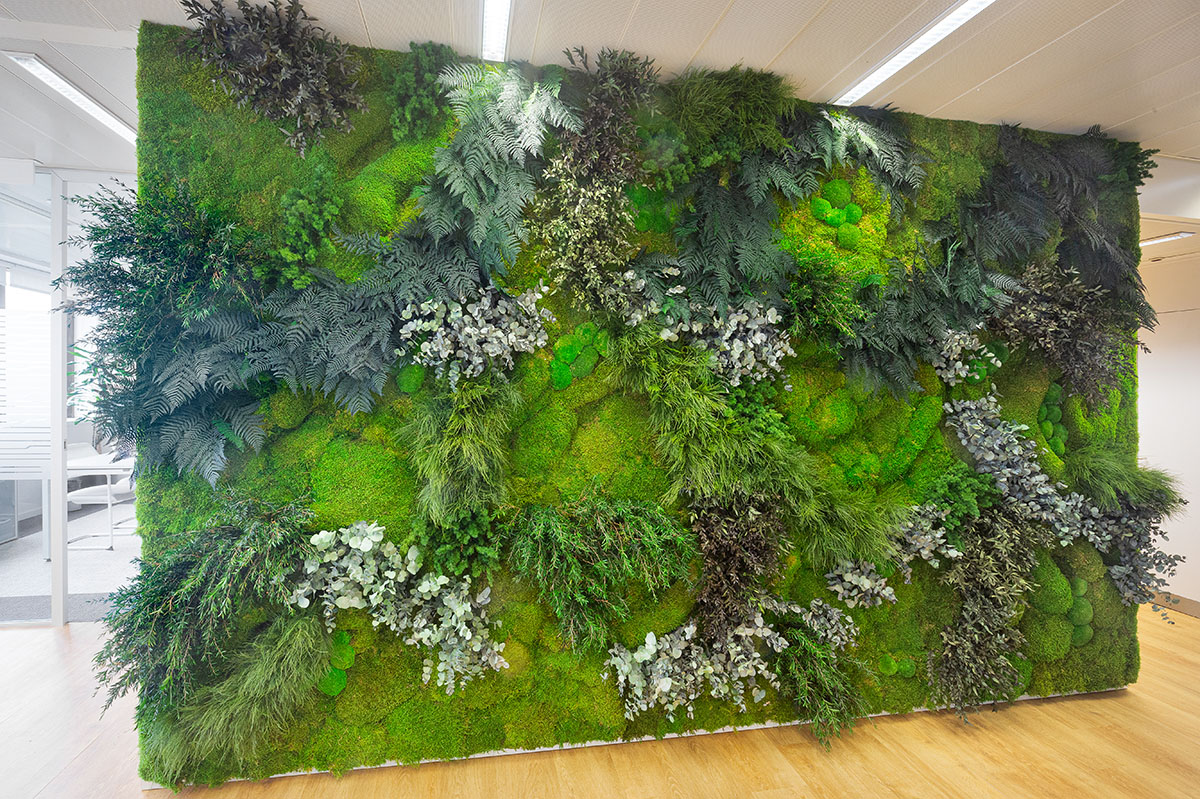 preserved green wall in offices