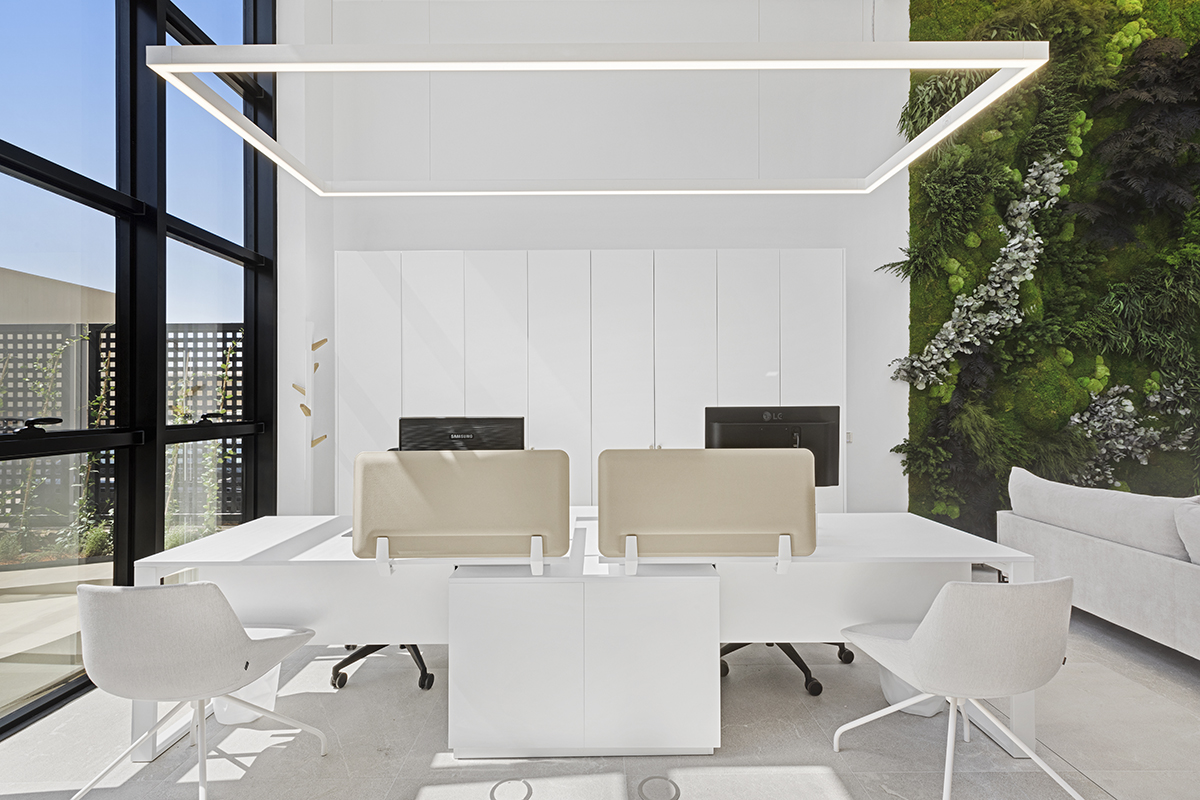 diseño-oficinas-jardín-vertical