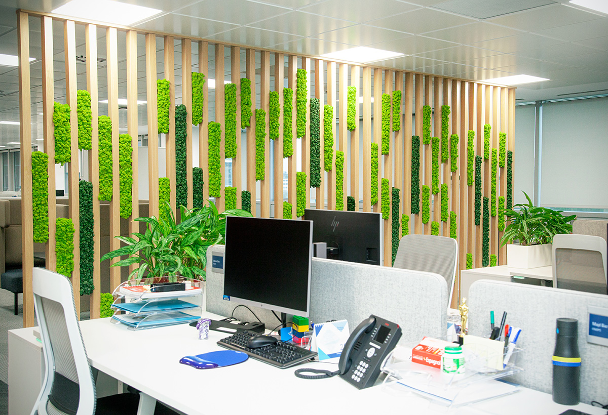 decoración vegetal creativa para oficinas