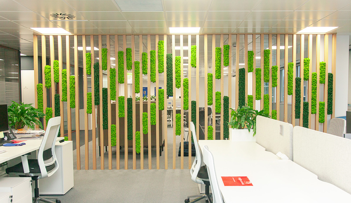 plantas interior diseño biofílico en oficinas