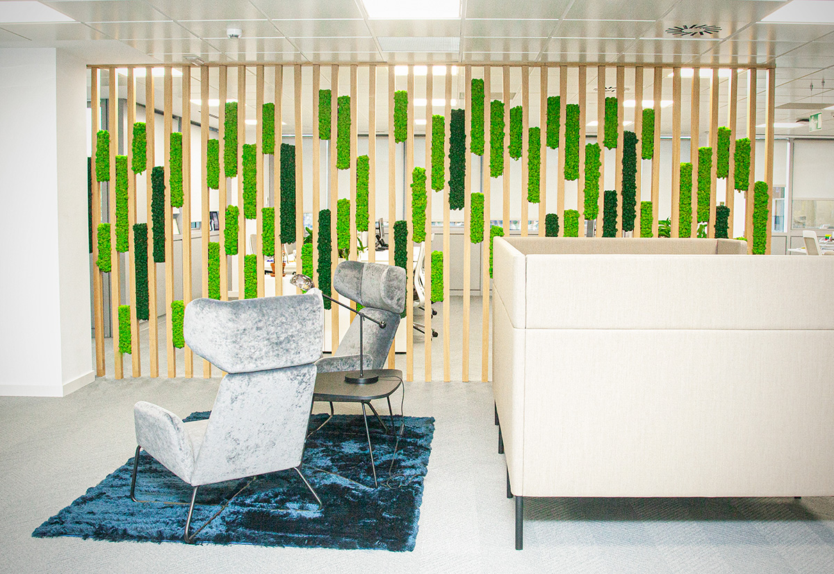 biofilia en oficinas decoración greenarea
