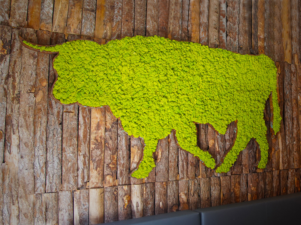 Corporeo vaca con lichen creación Greenarea