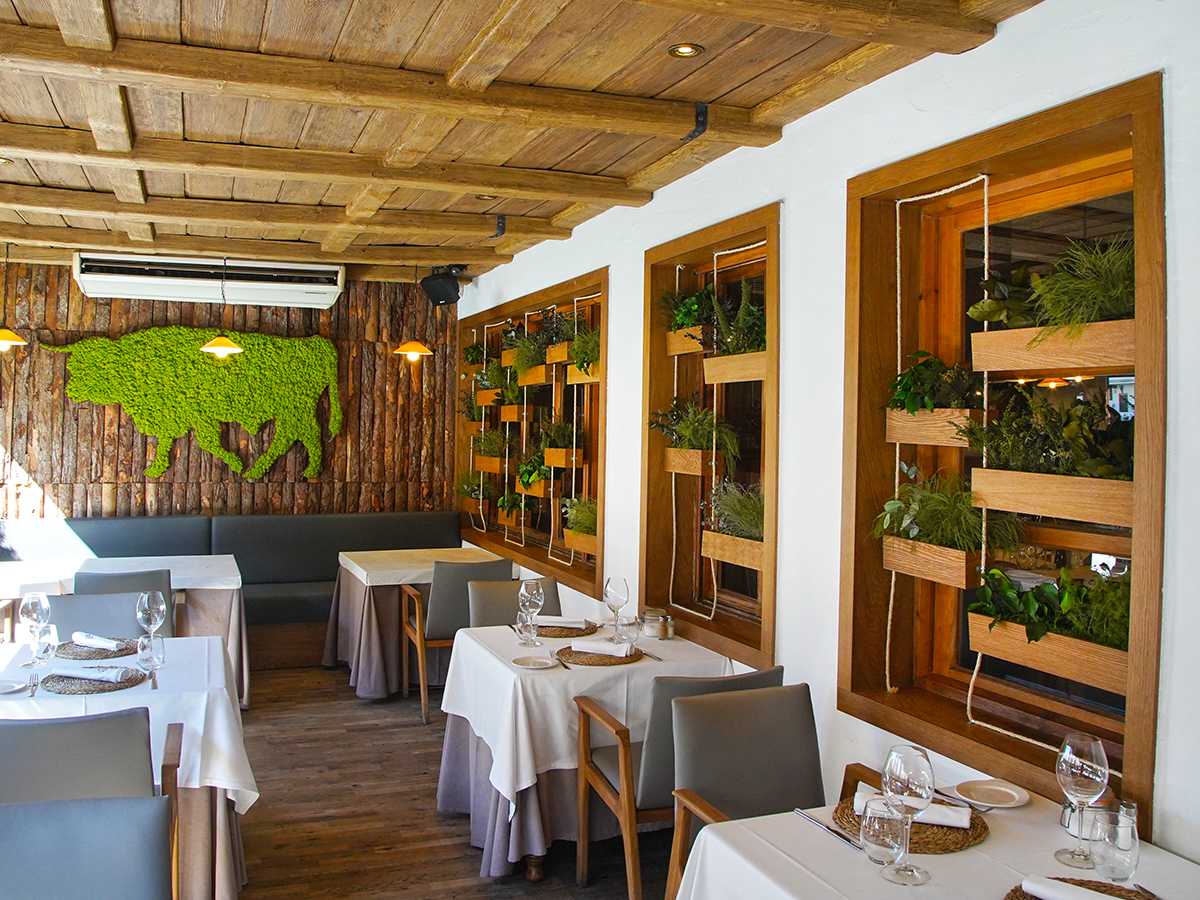 Preserved plant planters restaurant